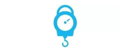 لودسل یا سنسور وزن